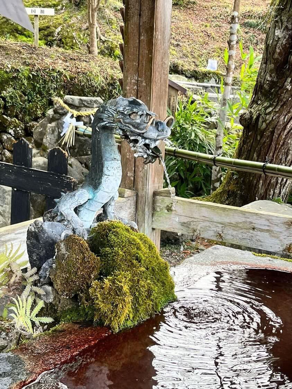 okyon_hさんの写真 / 2