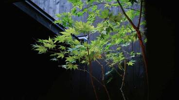 テラス / パティオ / 28