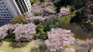 デラックスキングアッパーフロア 禁煙 ガーデンビュー
