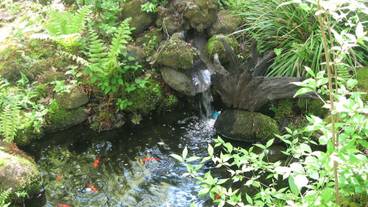 客室内のダイニングエリア / 12