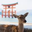 女子ののんびり一人旅in広島。旅のおともにしたいおすすめホテル7選