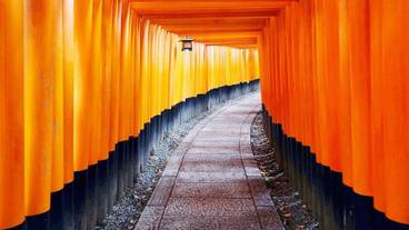 観光スポット / 11