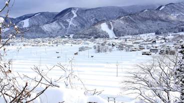 マウンテン ビュー / 17