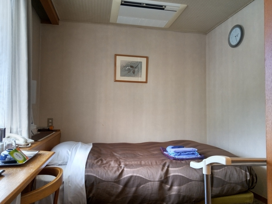 トイレから見た「シングル9.5平米」です。