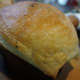 らっきょ大サーカス(ラッキョダイサーカス)