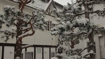 ガーデン ビュー / 22