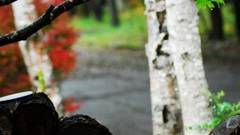 ペンション オールドハウス