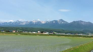 マウンテン ビュー / 19