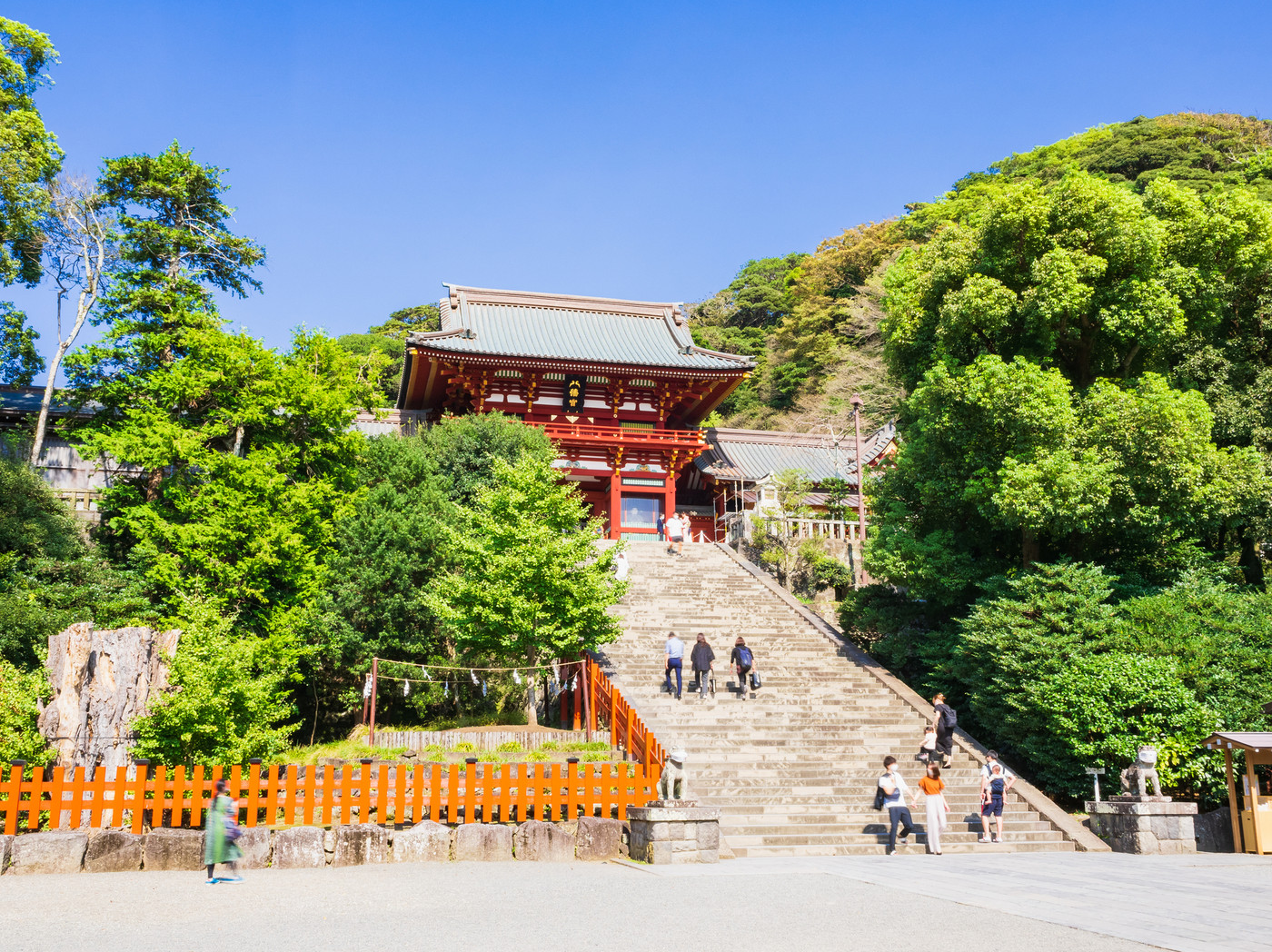 初秋の鎌倉　鶴岡八幡宮　本宮と大石段