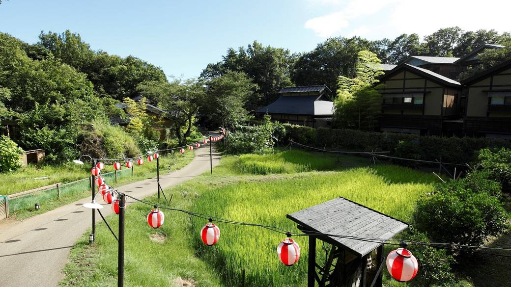 ふたりでのんびり癒される
里山のお散歩 / 1