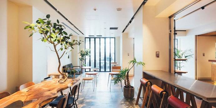 Meander Osaka（大阪府 ゲストハウス・ホステル・ドミトリー） / 1