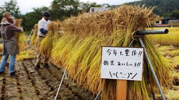 食事・飲み物 / 2