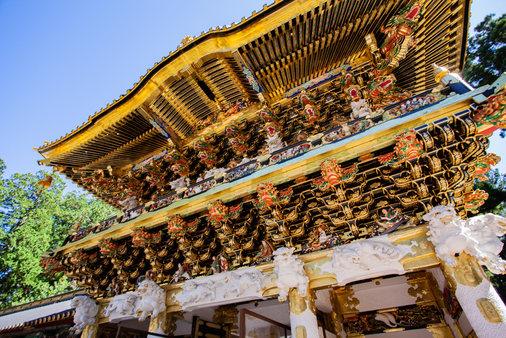 日光はペットに優しい観光地♡3933666