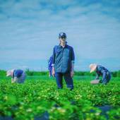 SONEKA（北海道 別荘・ヴィラ・コンドミニアム） / 3