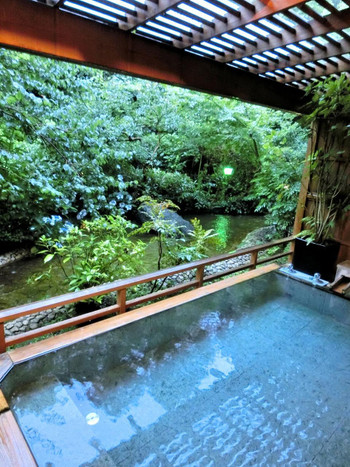 下田の奥座敷、緑豊かな自然に囲まれた至高の和風旅館4271329