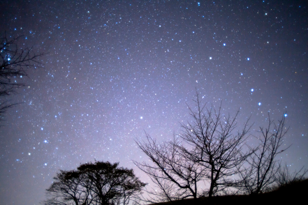 《アクテビティ》ホテルの中庭から星空観察3751079