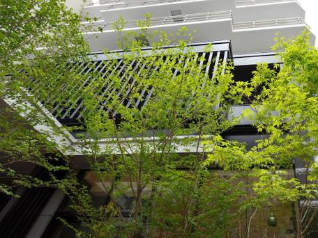 大阪ビューホテル 本町 / 4