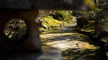 施設からの眺望 / 20