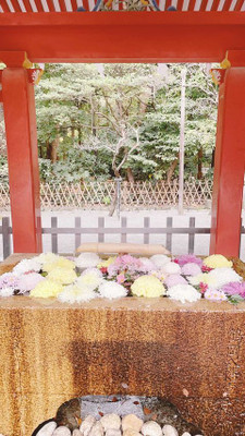 shoko_416さんの写真 / 2