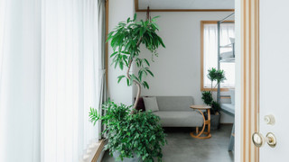 ボタニカルバンクツイン 禁煙