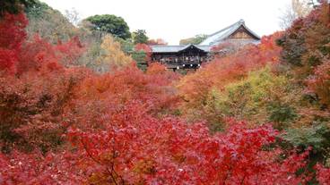 観光スポット / 8