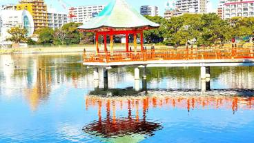 ランド ビュー / 18