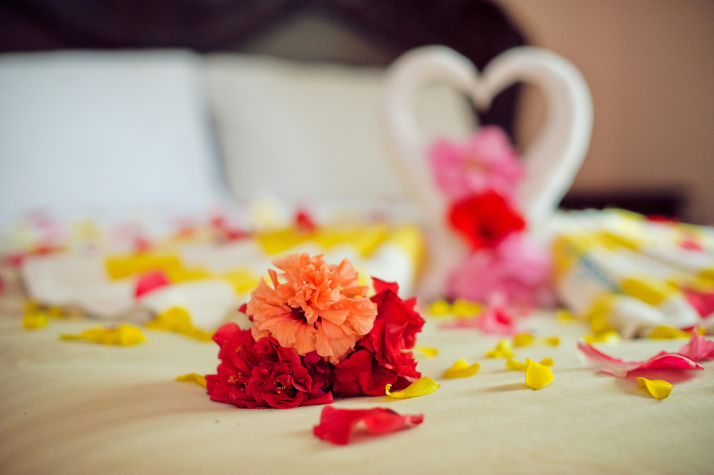 White two towel swans and red rose on the bed in Honey moon suit