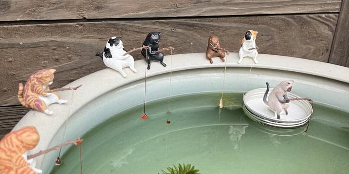 草太郎庵（熊本県 旅館） / 1