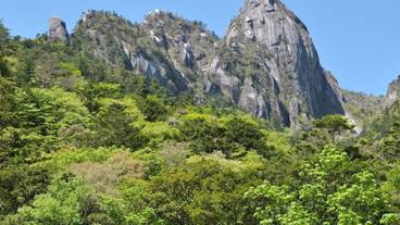 観光スポット / 34