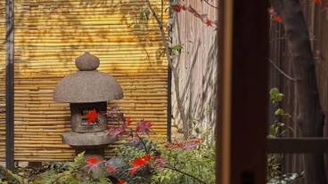 リビング エリア / 29