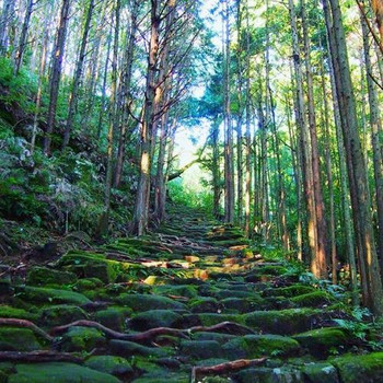 全室スイートルームの客室と熊野の味覚が魅力4229926