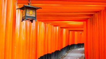 伏見稲荷大社① / 3