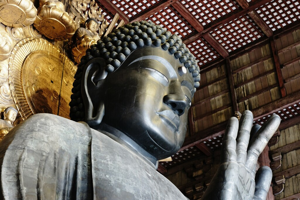 神社仏閣に自然、ゆるやかな空気と魅力たっぷりの「奈良県」2547064