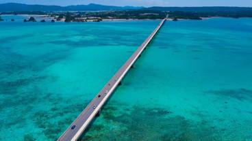 ビーチ / オーシャン ビュー / 8