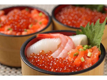 7.ドーミーイン札幌1837141