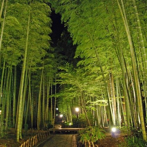 伊豆マリオットホテル修善寺(イズマリオットホテルシュゼンジ) / 1