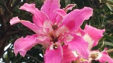 施設からの眺望 / 36