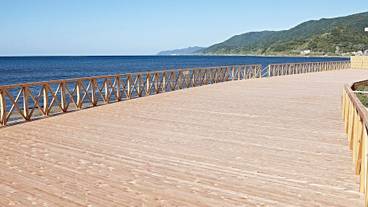 テラス / パティオ / 14