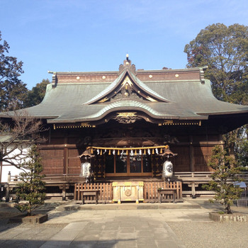 迷子ネコが戻る？「猫返し神社」4090742