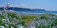 春～初夏におすすめ♡江ノ電で行く「鎌倉～江ノ島」周辺のデートスポット7選