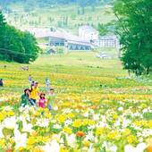 ホテルハーヴェスト斑尾（長野県 リゾートホテル） / 3