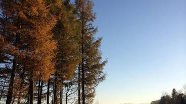 施設からの眺望 / 24