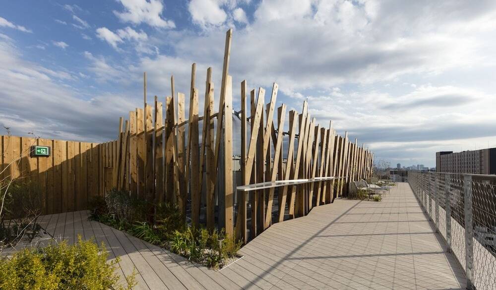 まるで“空の森”
開放感抜群の屋上 / 2