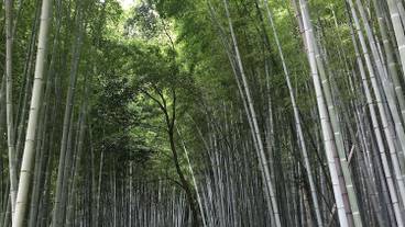 施設からの眺望 / 6