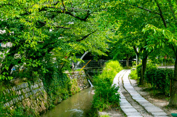 Philosopher's Path (Sakyo-ku, Kyoto, Kyoto)