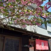 ゲストハウス ソイ（京都府 ゲストハウス・ホステル・ドミトリー） / 4