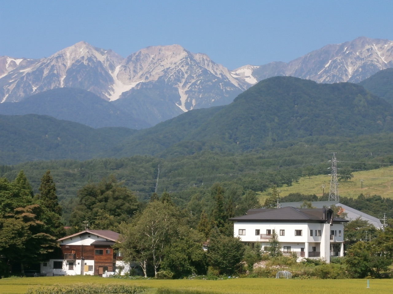 手作りパンの美味しさにほっとする3701166