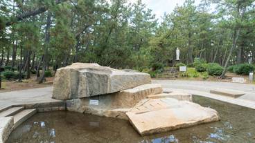 ランド ビュー / 30