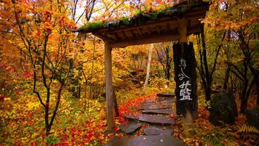 旅館の外門(秋) / 2