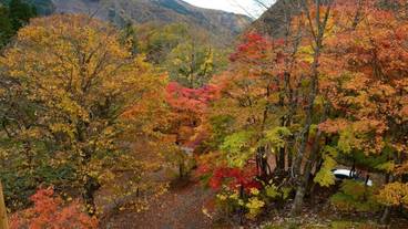 施設からの眺望 / 10